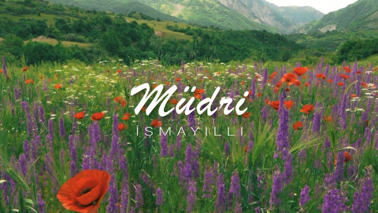İsmayıllı rayonu Müdri kəndi || Müdri kəndində keçirdiyim bir neçə saat, arıçı ilə maraqlı söhbət