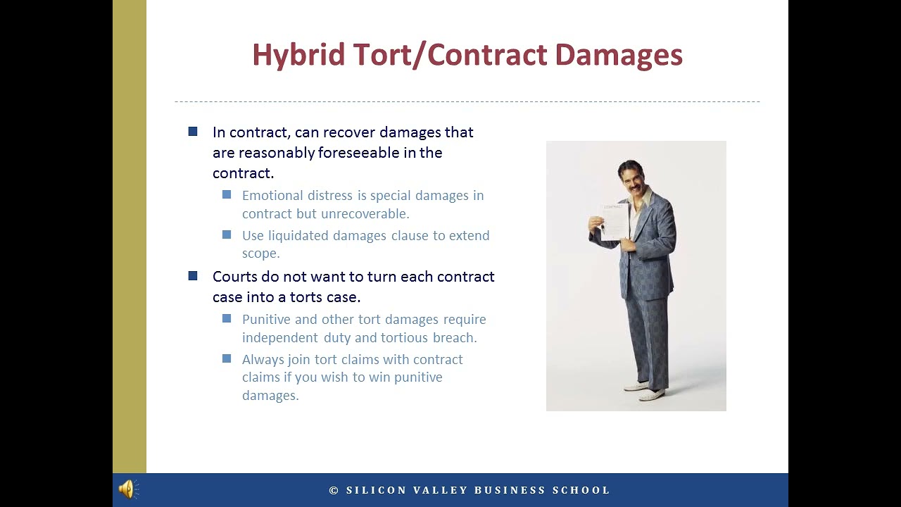 Compensatory, Nominal, and Punitive Damages: Legal Insights for Contracts and Torts