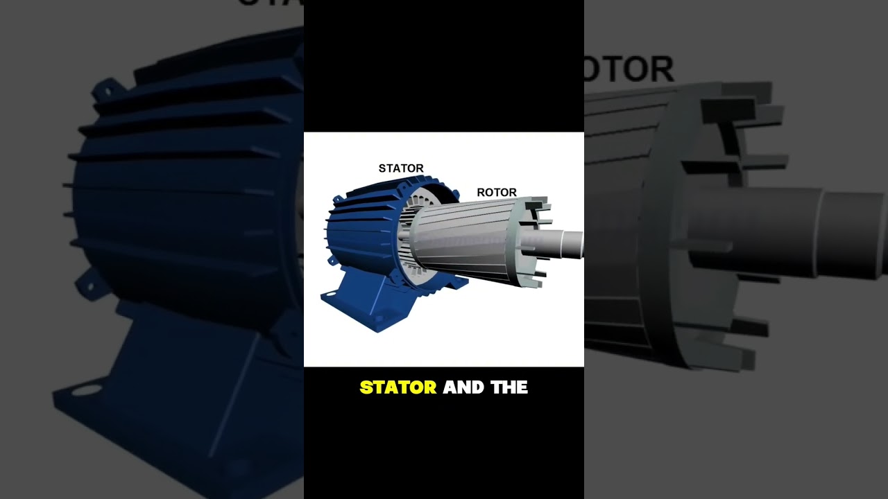 How do the stator's rotating field and the rotor's magnetic field interact?