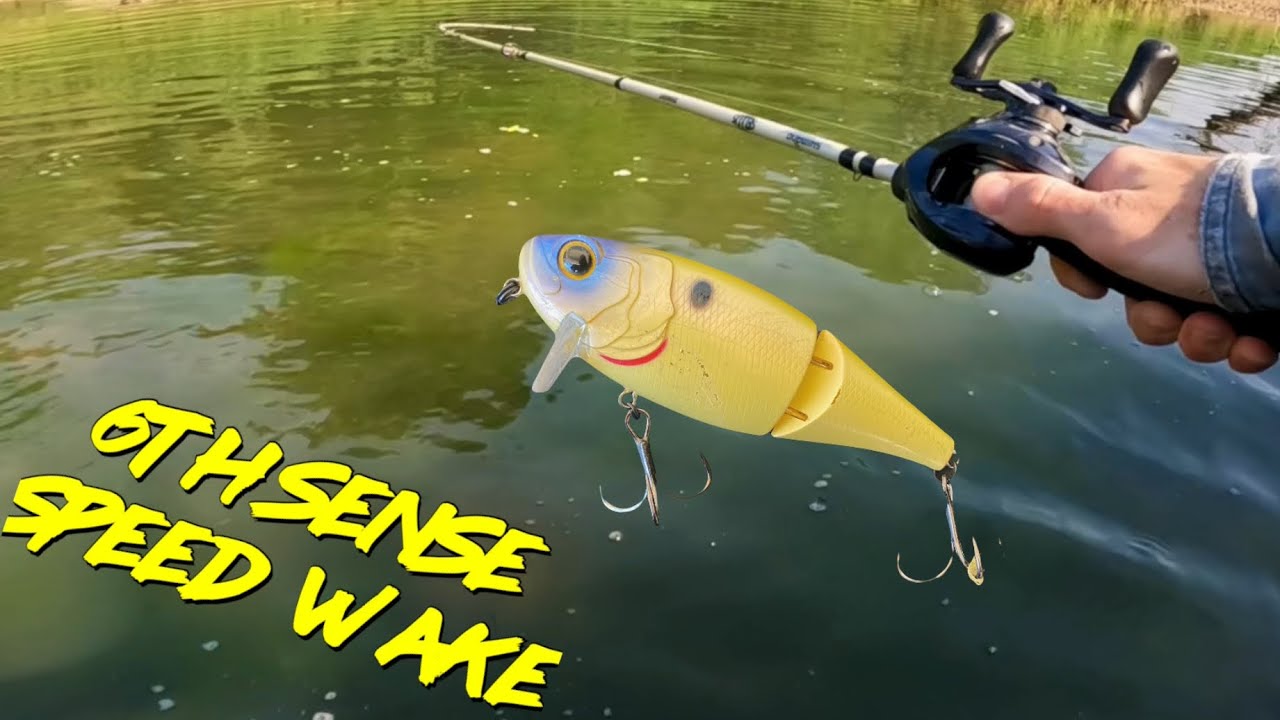 Big Bass HATE This Bait (6th sense speed wake)