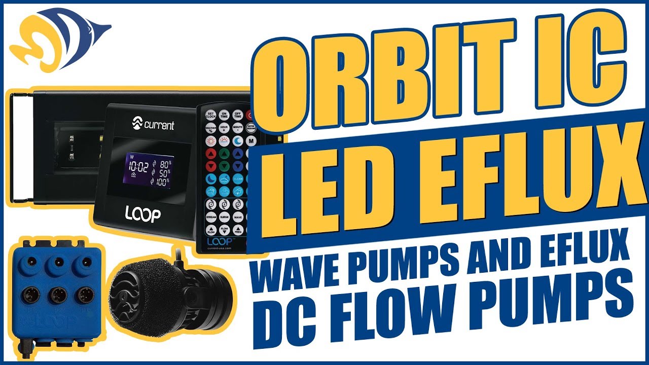 Get in the LOOP with Orbit IC LED eFlux Wave Pumps and eFlux DC Flow Pumps HD