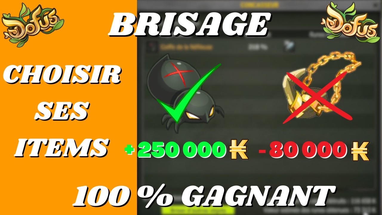 COMMENT BIEN CHOISIR SES ITEMS POUR BRISER ET FAIRE DES KAMAS SUR DOFUS ! (1° LES HDV)