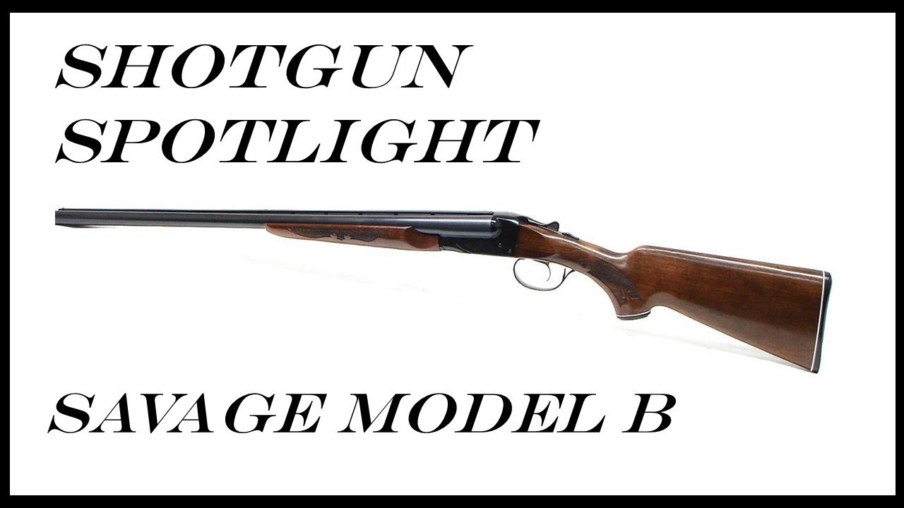 Дробовик Savage Fox Model B