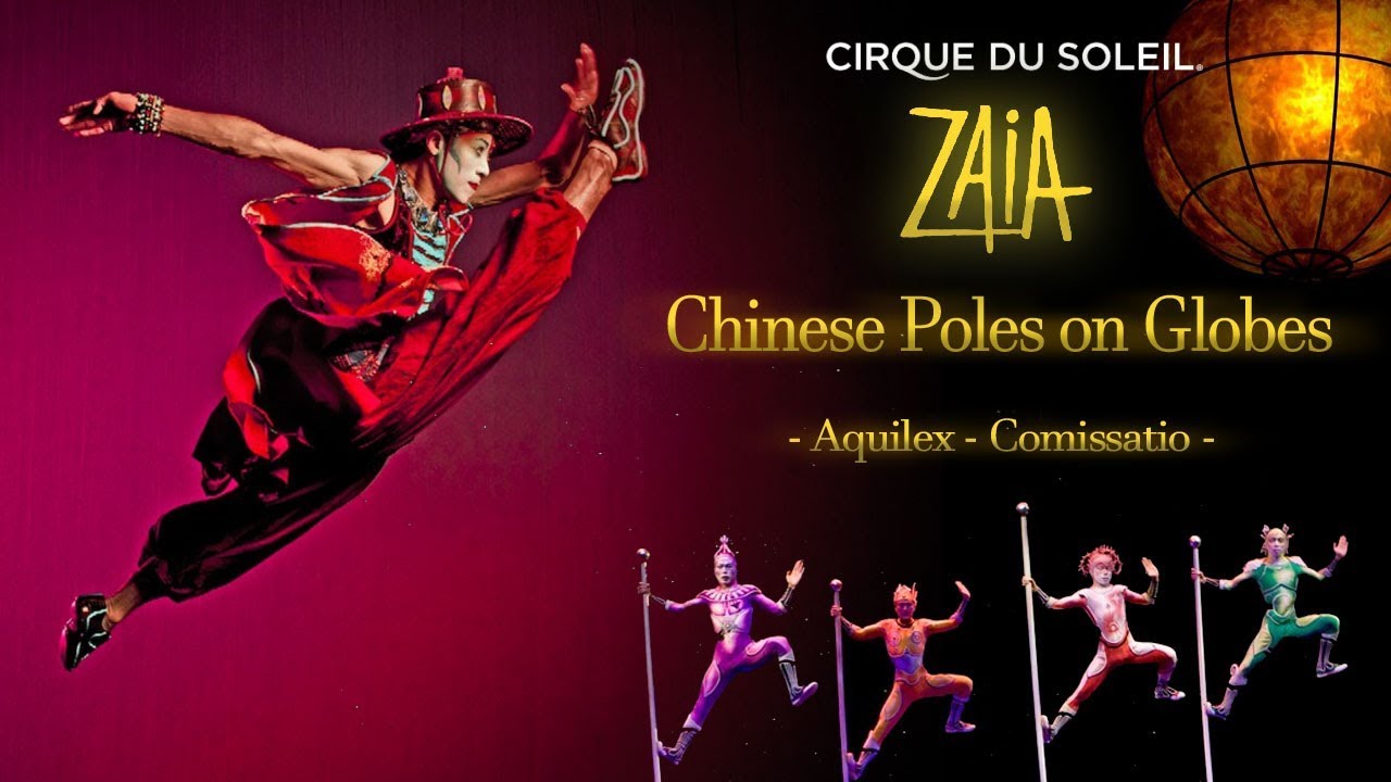 ZAIA【2008】- Chinese Poles on Globes