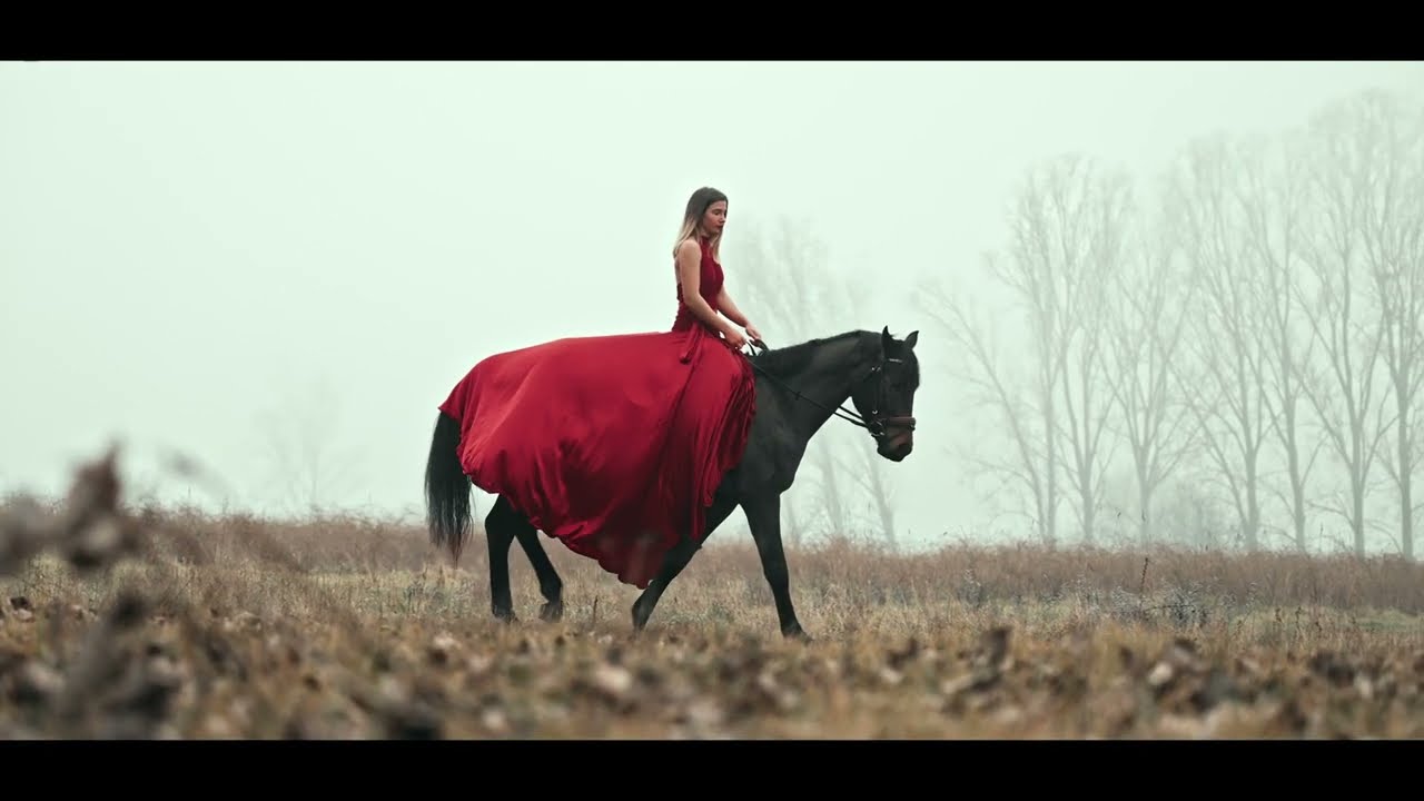 LORD FILM | @sebi.video