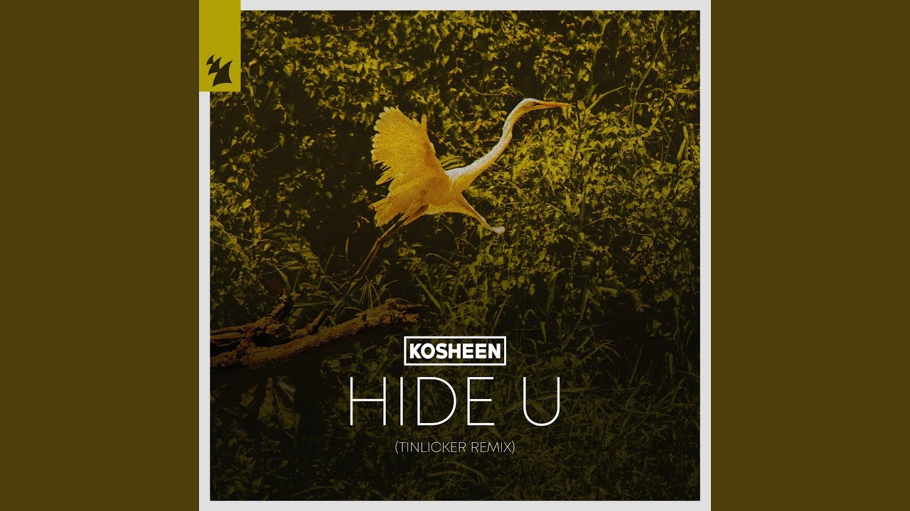Hide U (Tinlicker Remix)