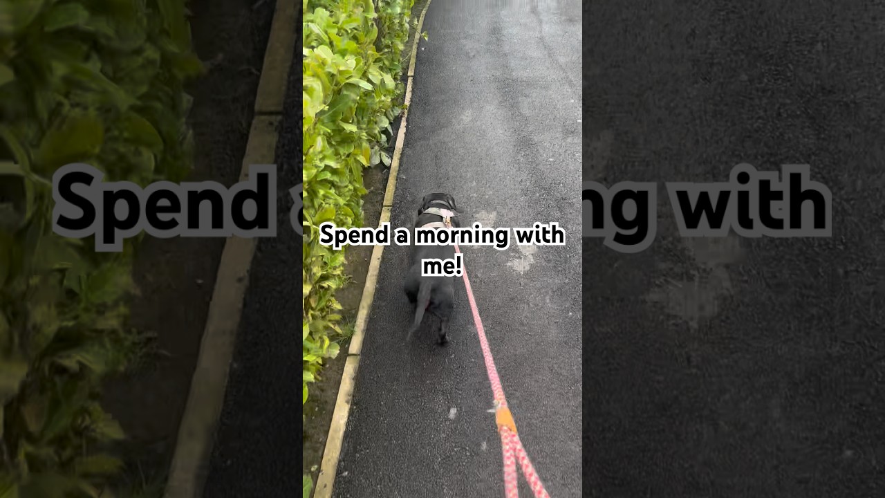 Spend a morning with me! #youtubeshorts #fypシ゚viral #blowthisaccountup