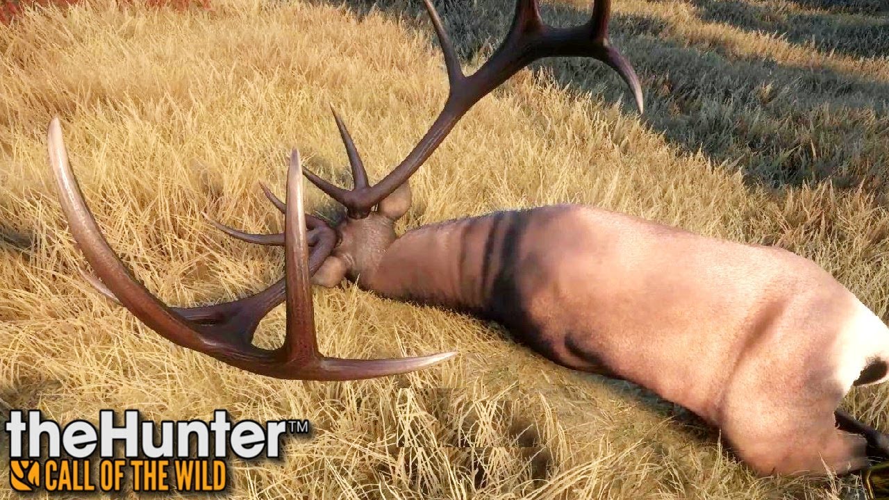 Ale wielkie poroże! | theHunter: Call of the Wild (#40)