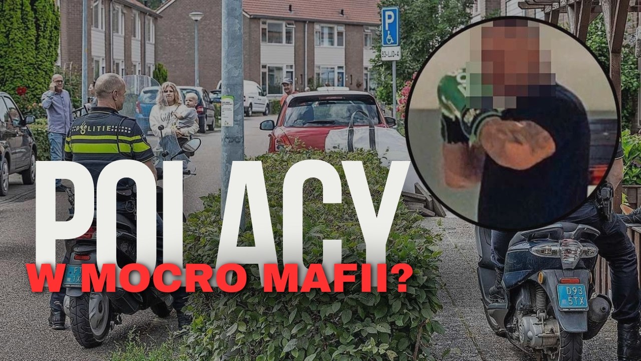 Polacy na usługach Mocro Mafii w Holandii.