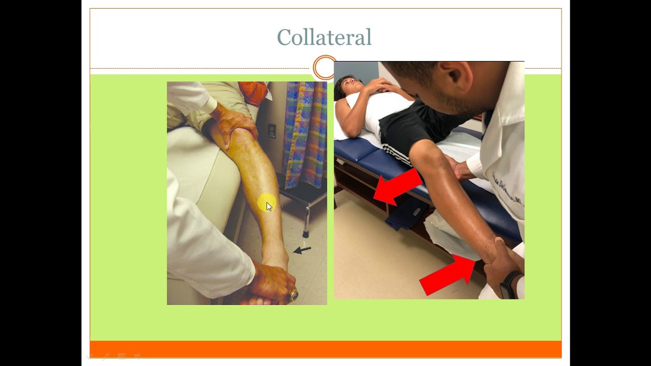 special tests for knee examination