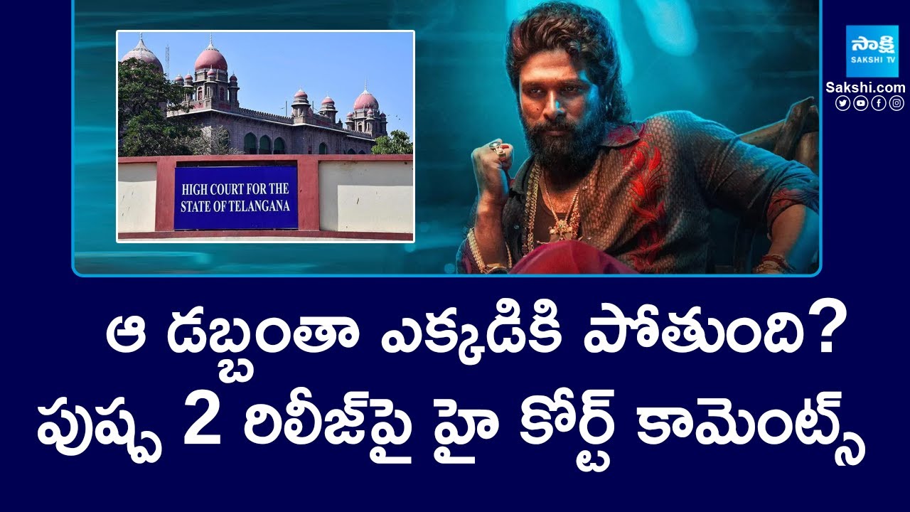 పుష్ప 2 రిలీజ్ పై హై కోర్ట్ కామెంట్స్.. | Telangana HC About Pushpa 2 Release | @SakshiTV