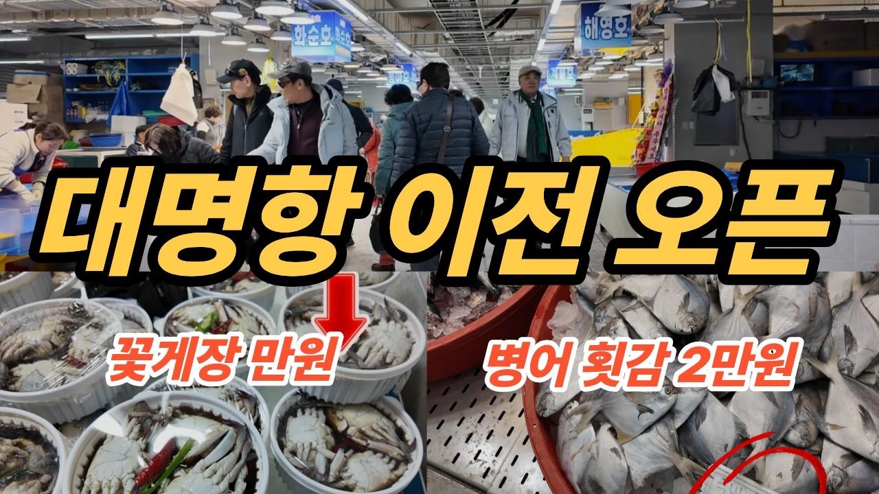 대명항 어시장 사라졌다… 텅 빈 이유 직접 가봤습니다~! 힐링여행