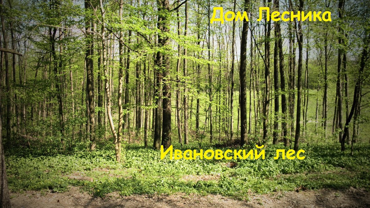 Дом лесника - с. Ивановцы
