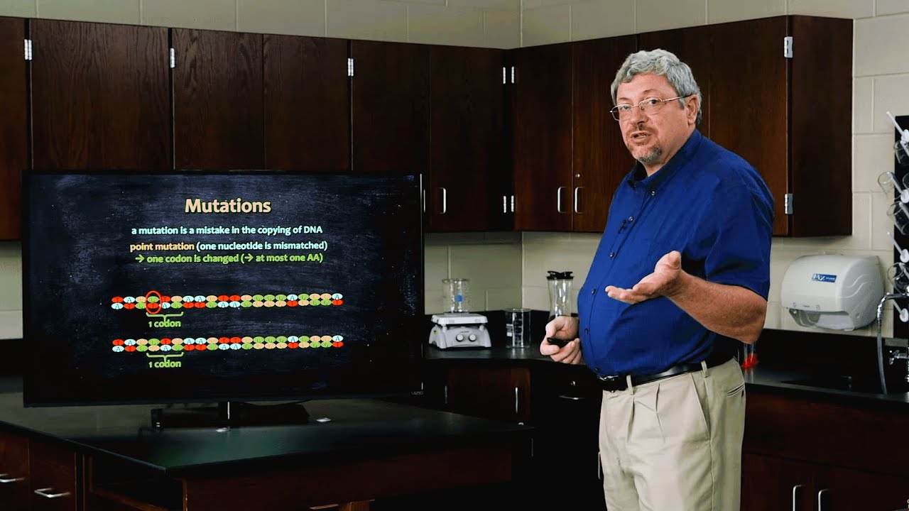How Much Do We Really Know About DNA? - Dr. Kurt Wise, Devotional Biology