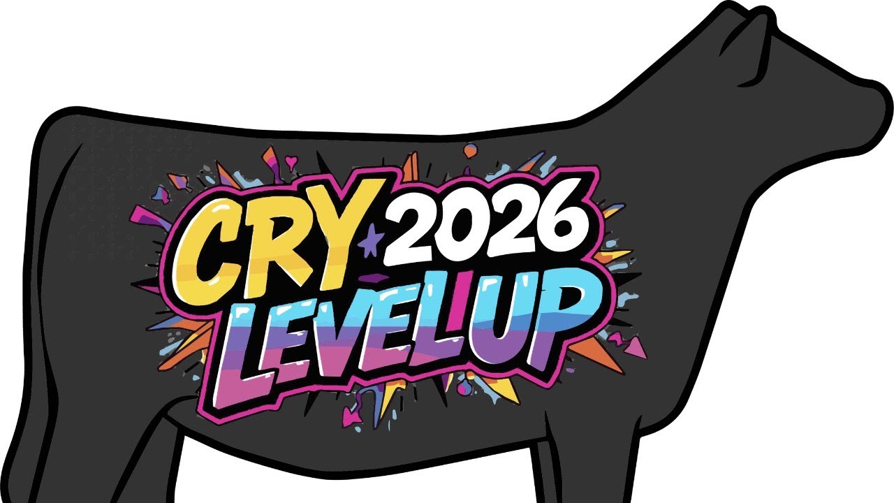CRY 2026 - Heifer Show