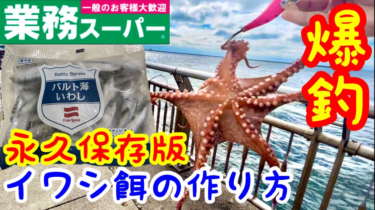 業務スーパーイワシでタコ釣りしたら入れ食い！加工イワシの作り方！永久保存版！東扇島西公園釣り
