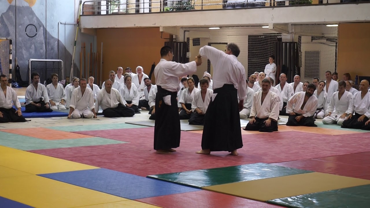 Kobayashi Hiroaki 7. dan Aikikai; Tanto dori: Shomen uchi Koshinage; Szeged, 2019.08.02.