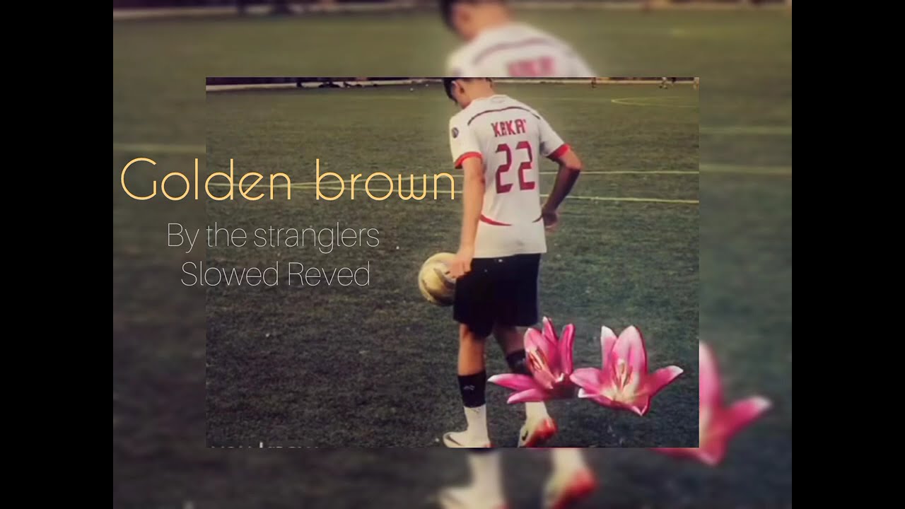 Golden Brown  [ Slowed Reverb ] By The Stranglers
