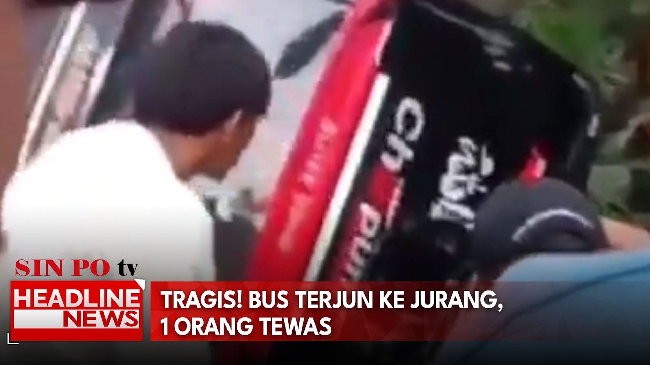 Tragis! Bus Terjun Ke Jurang, 1 Orang Tewas