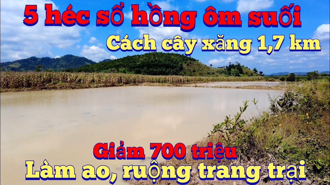 Đã bán 5 ha 400 mét đường ôm suối, giảm còn 800 triệu tổng.