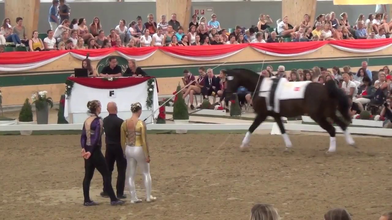 Vaulting EM 2017 - Swiss Team Zoe Maruccio & Syra Schmid - Free Style Final - Rank 6