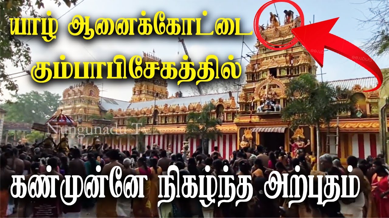 🔴யாழ் ஆனைக்கோட்டையில் கண்முன்னே நிகழ்ந்த அற்புதம் ¦ Jaffna Anaikottai Karaipiran Kumbapisegam #news