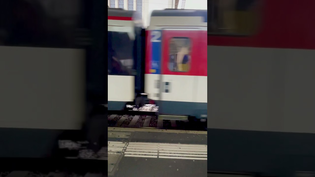 RE460 tractant des voitures Eurowagons arrivant a Lausanne🇨🇭