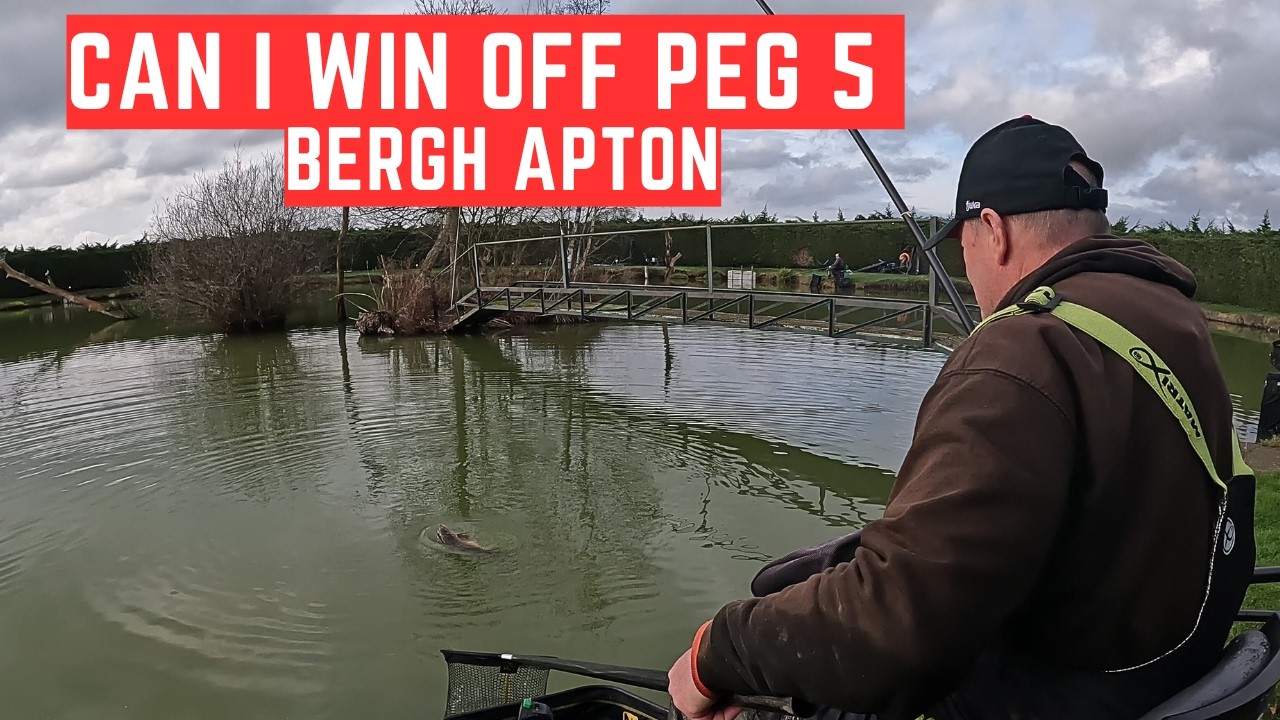 Live Fishing Match Bergh Apton Lake NR15 1BN, #matchfishinguk