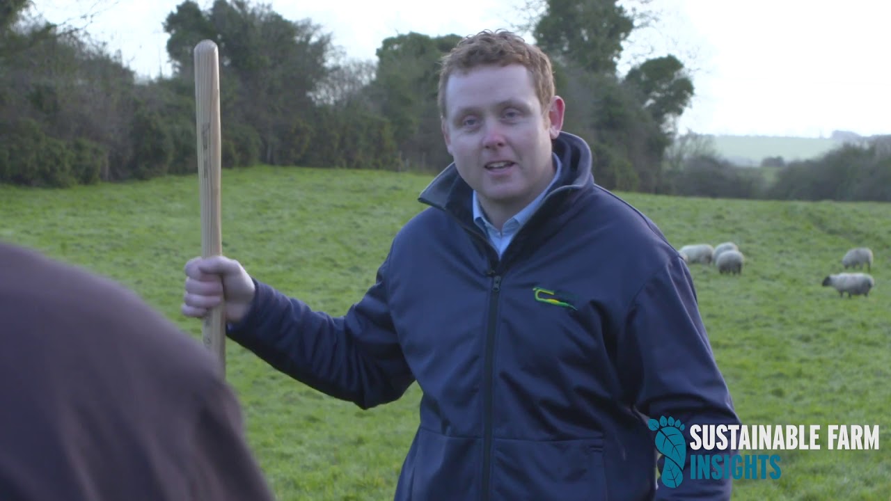 Sustainable Farm Insights Episode 1: Soil Health
