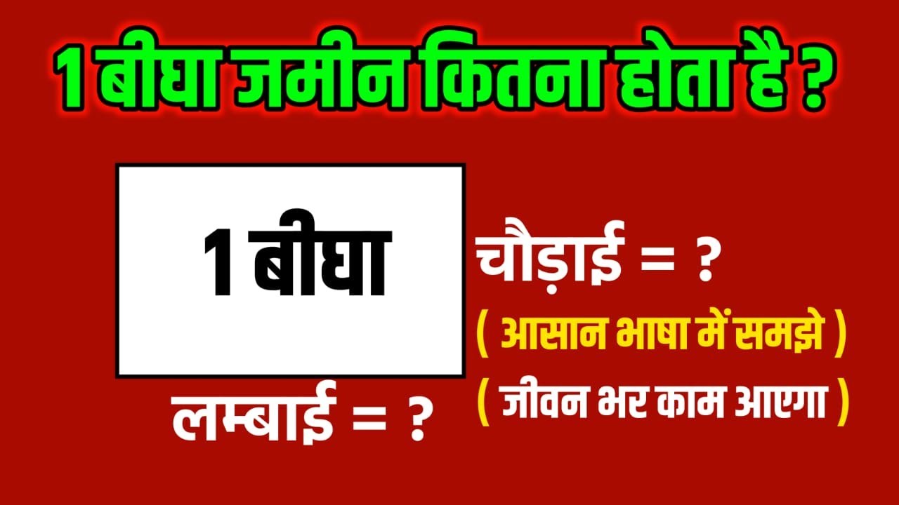 1 बीघा जमीन कितना लंबाई और कितना चौड़ाई होता है? | 1 Bigha jamin kitna hota hai | Jk Campus