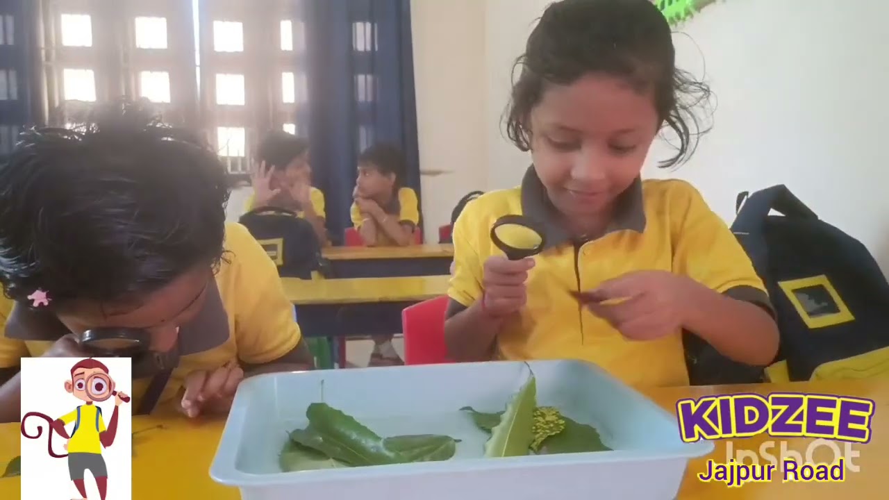 Senior KG - Class Activities - (12)