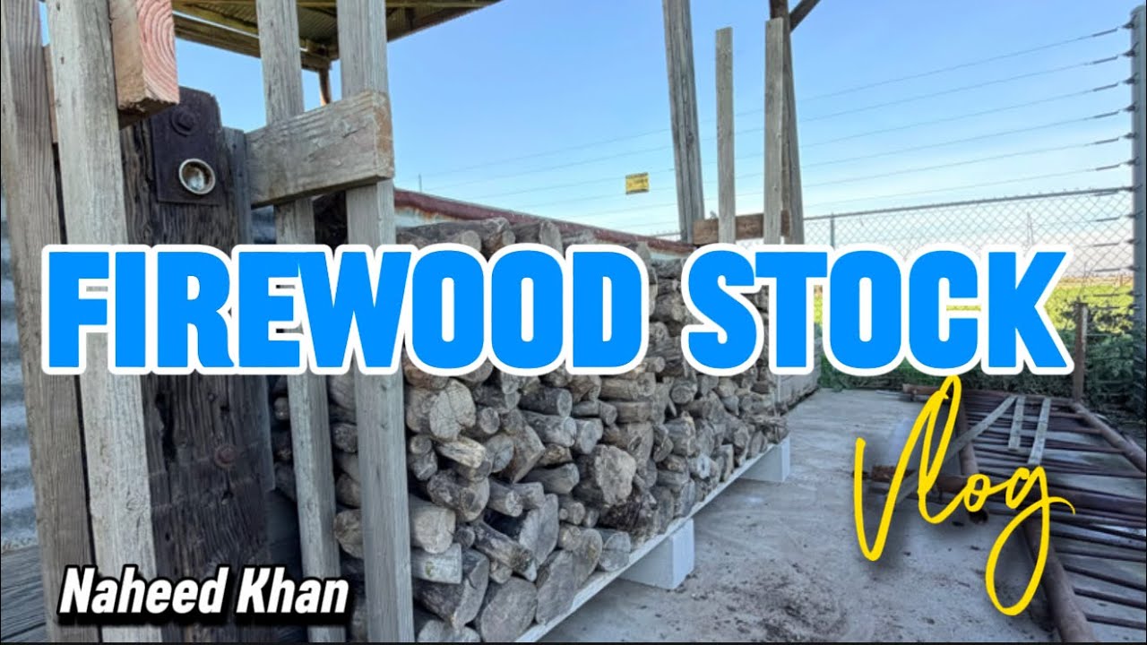 Firewood stand, sawbuck, fixed pvc pipe | Alhumdullilah busy day vlog #dailyvlog #urduvlog