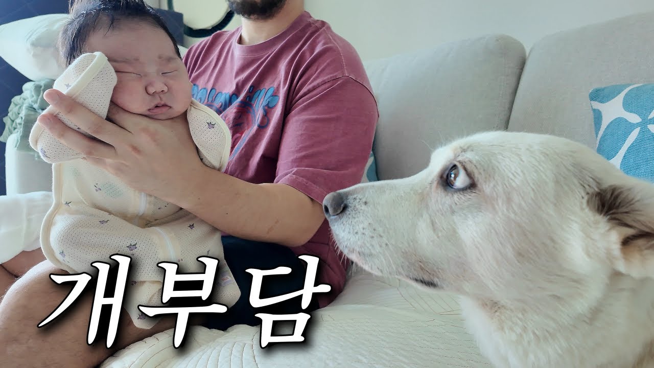 갓 태어난 동생이 부담스러우면서도 궁금한 강아지 | [육아'견'습생의 하루]