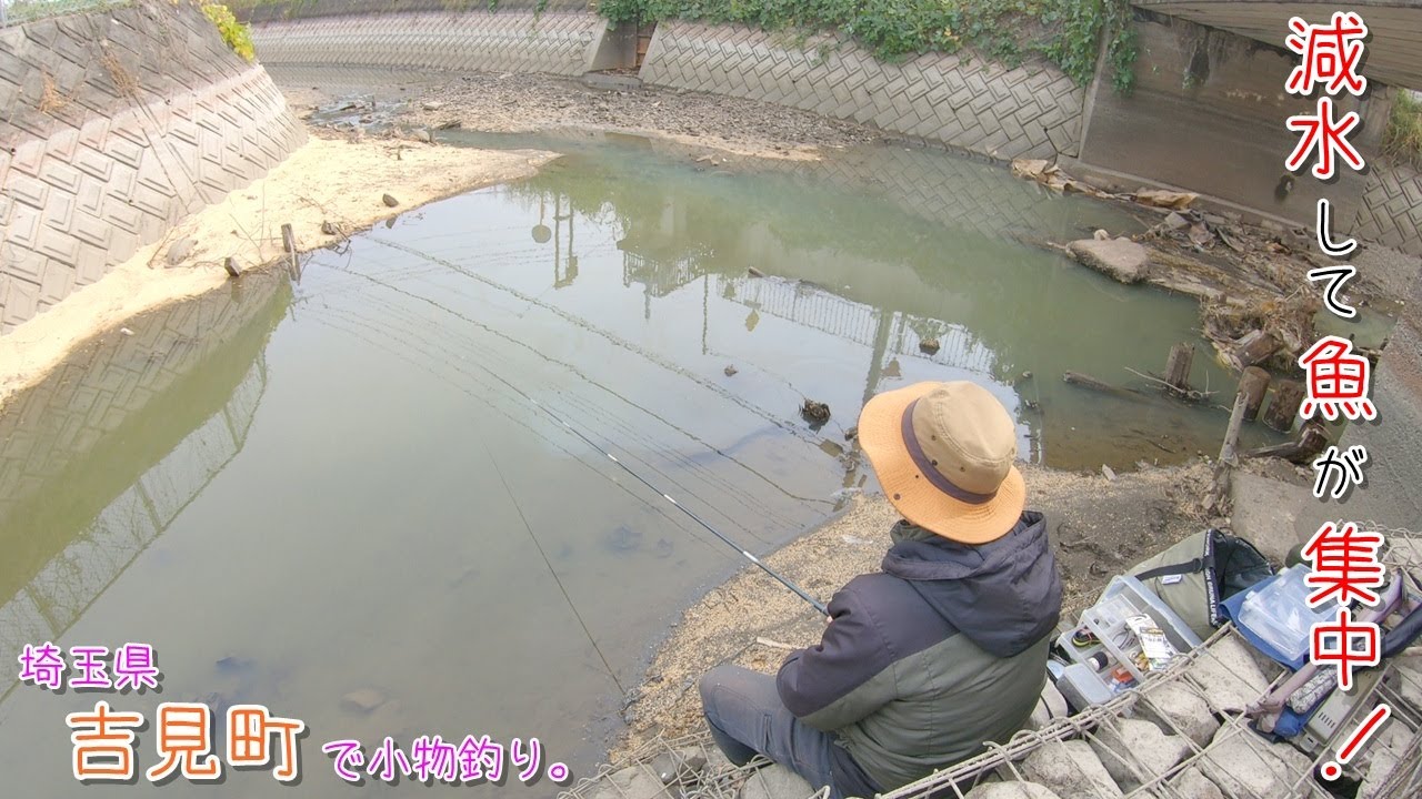 減水して魚が集中してる！今だけ釣れるポイント！  埼玉県 吉見町で小物釣り。