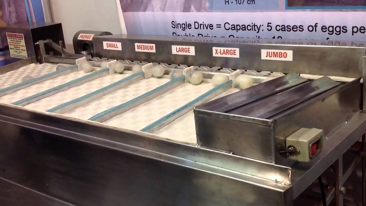 Egg Grader Machine / Egg Sorter
