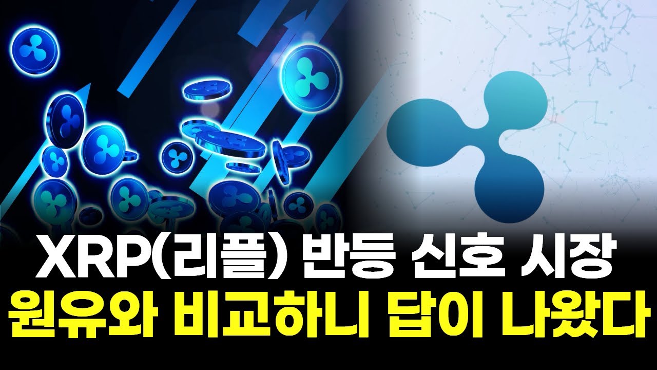 XRP리플 반등 신호 시장이 놓친 단서...원유와 비교하니 답이 나왔다