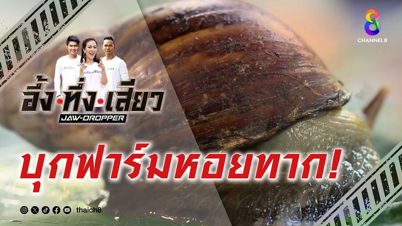 บุกฟาร์มหอยทาก! | อึ้ง ทึ่ง เสียว