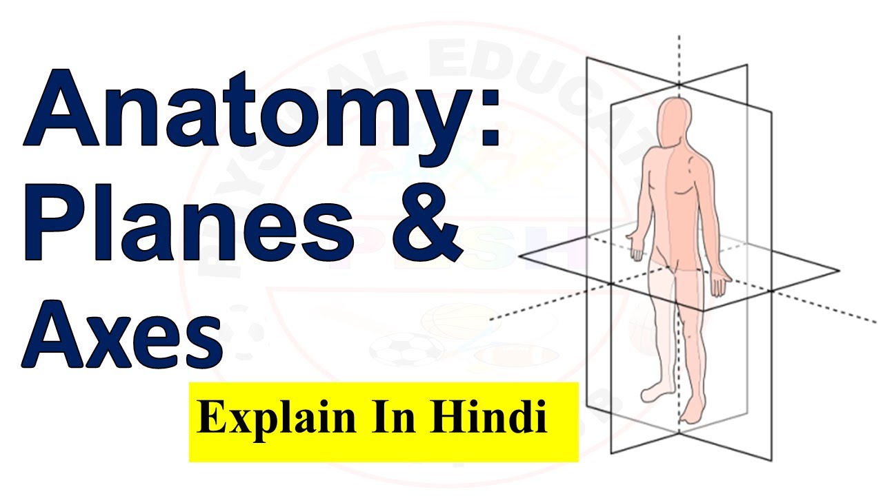 Plane & Axes | Full Explain in Hindi | Important for Physical Education Students & Teachers