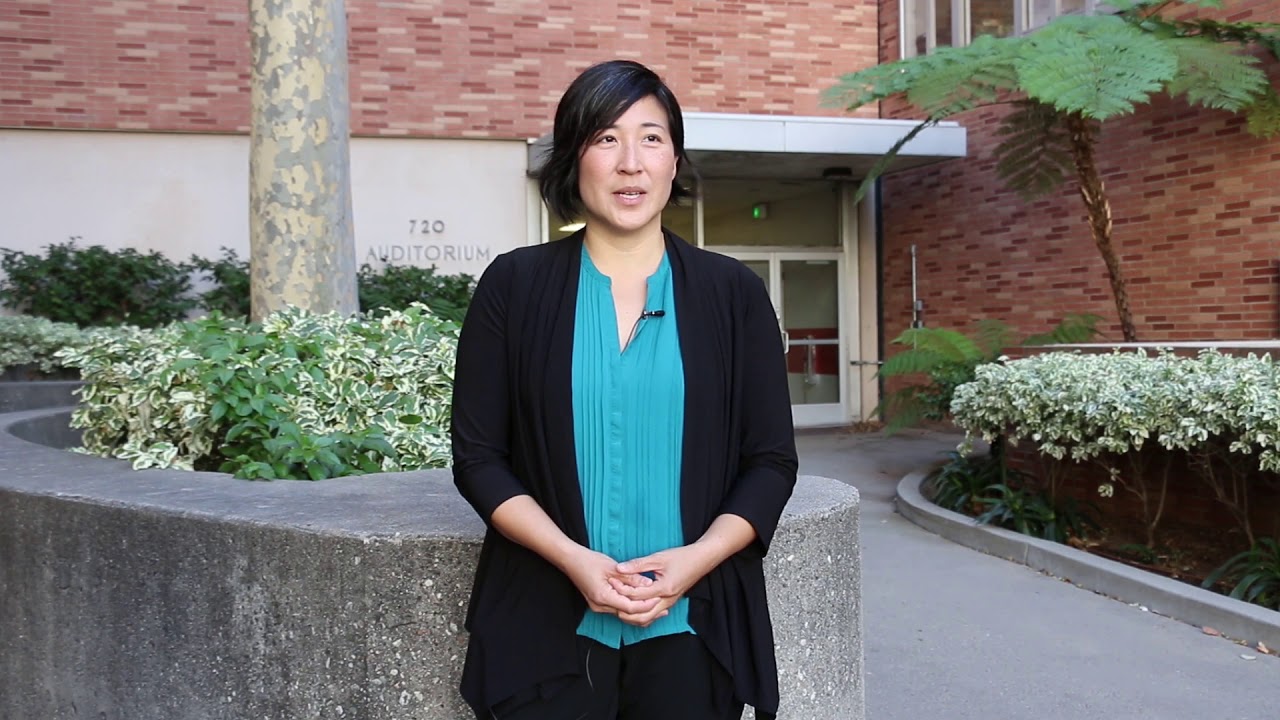 The Friends of the Semel Institute Scholar Program
