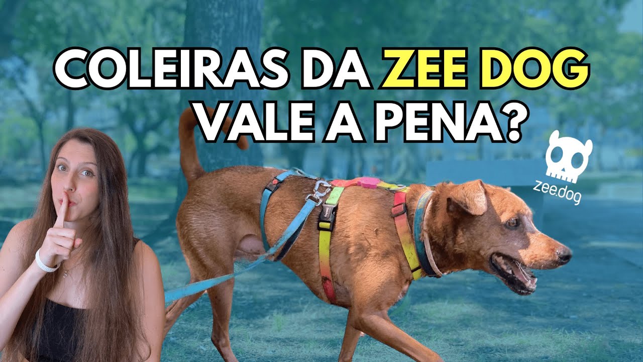 COLEIRAS e GUIAS da ZEEDOG: BOA ou MÁ opção para o passeio do teu cachorro?