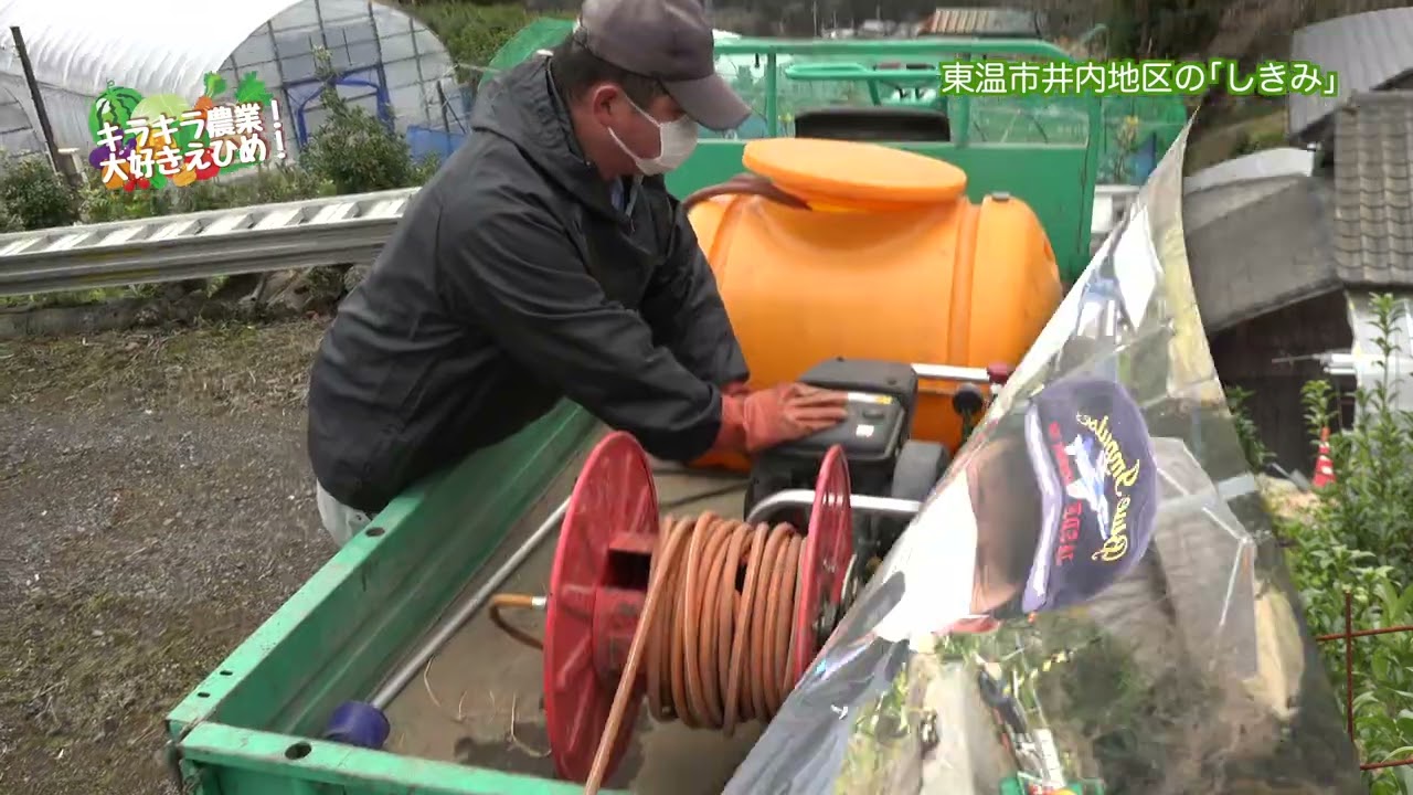 キラキラ農業！大好きえひめ！東温市のしきみ編