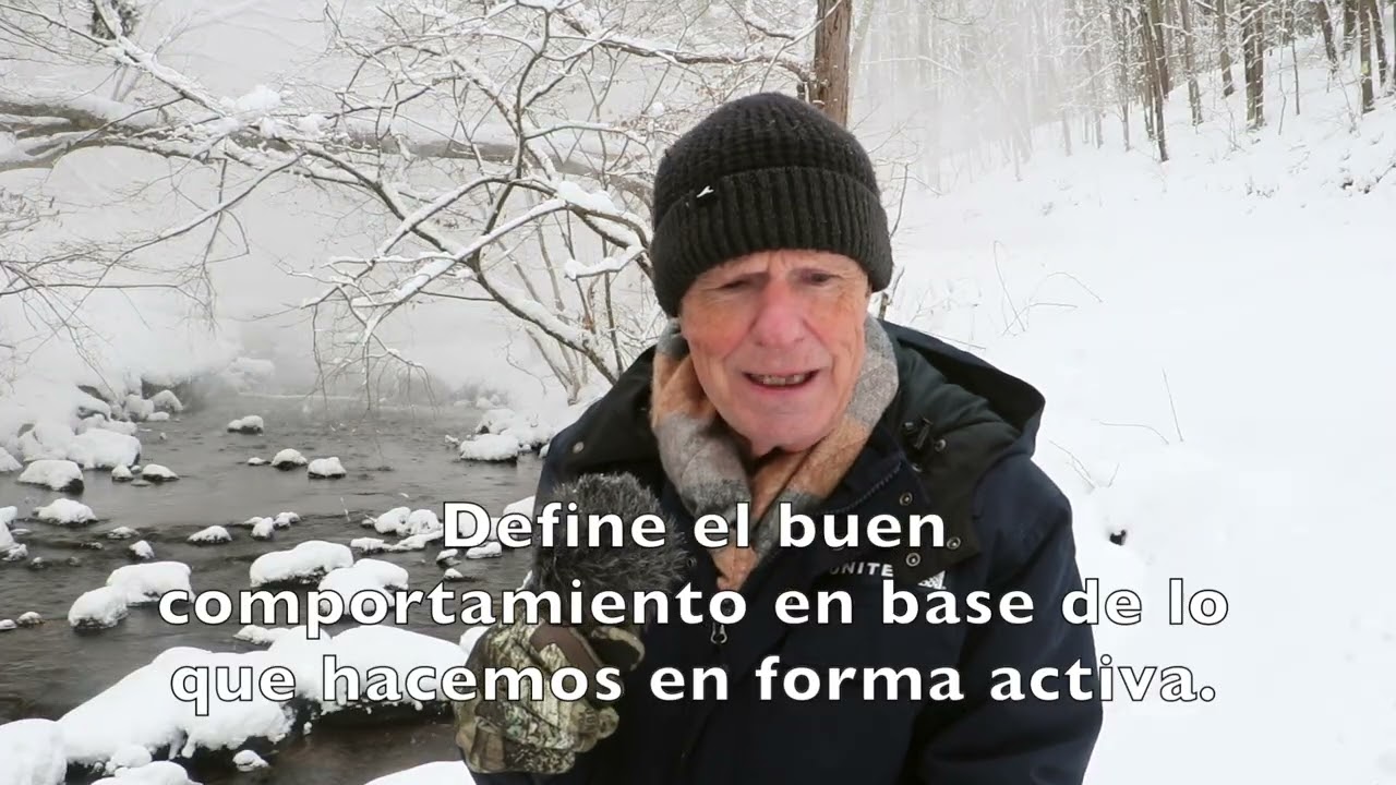 ¿Qué es la regla de oro? ¿La de hierro? ¿La de bronce y la de plata? (Mateo 7:2)