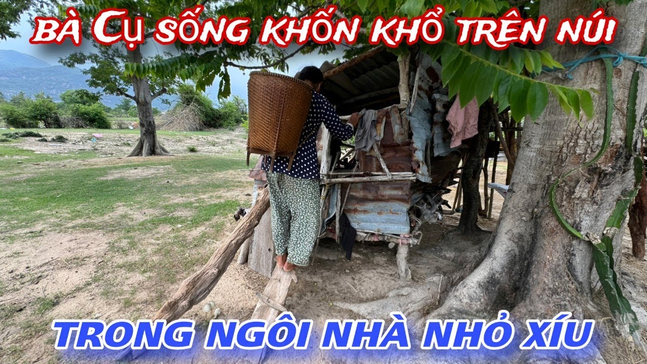 BÀ CỤ sống trong ngôi nhà nhỏ XÍU cực KHỔ trên RỪNG NÚI /277