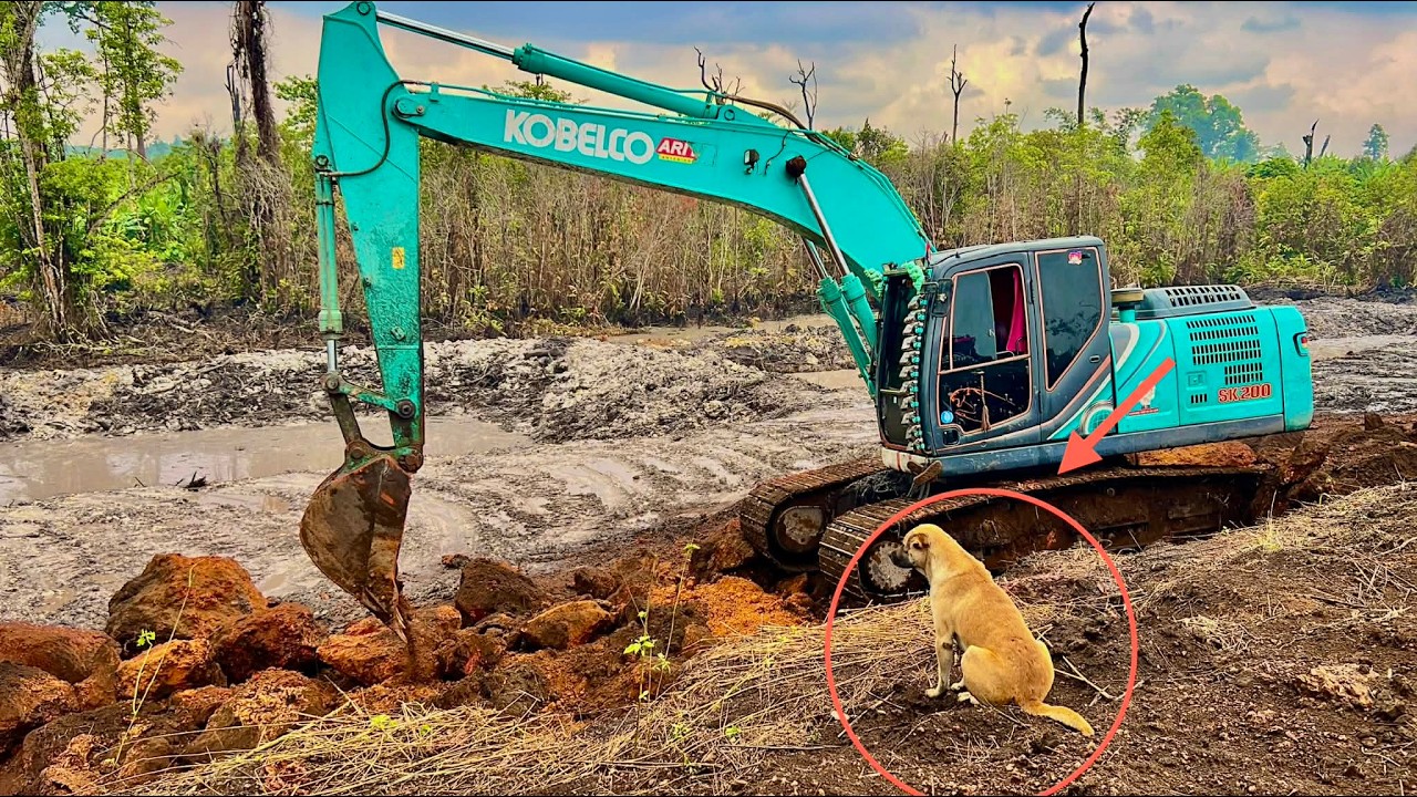 My boss is sitting and watching the excavator work #kobelcosk200 #kobelco