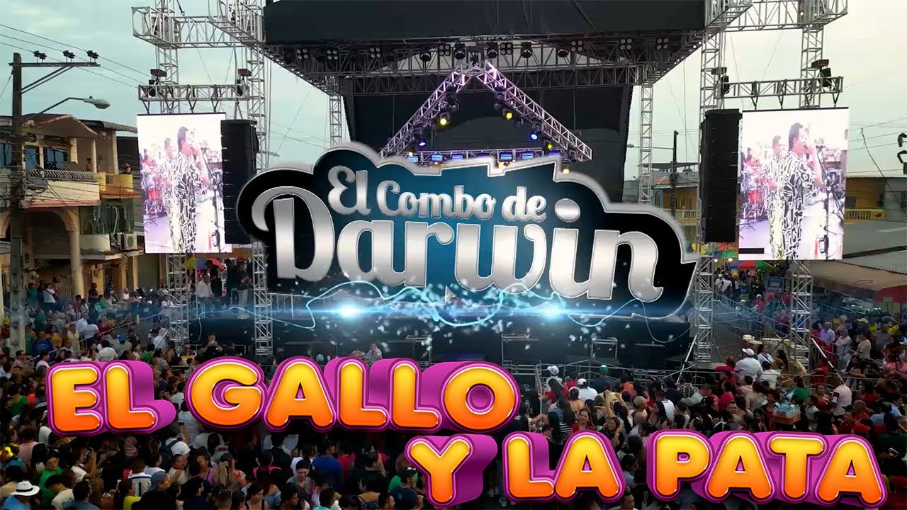 El Gallo con la Pata El Combo de Darwin Video HD