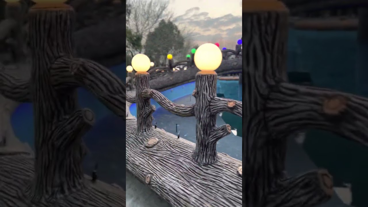 Dekoratif agac perilla yigilmasi 0777586878