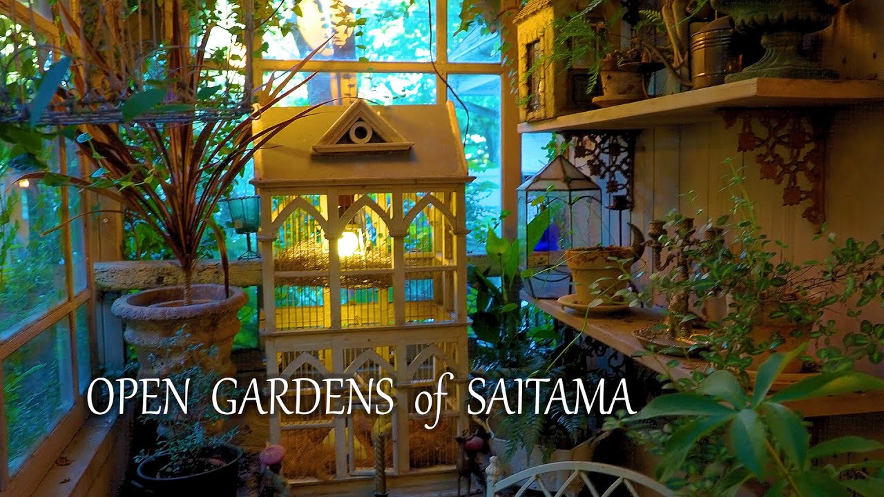 【Private Residence】 OPEN GARDENS of SAITAMA in the in the Autumn. 埼玉、秋の個人宅へ訪問 