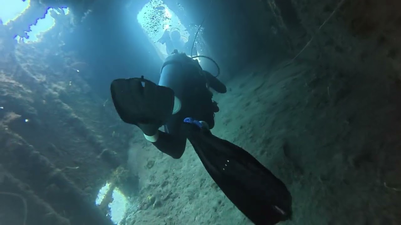 Barbados Dive with West Side Scuba