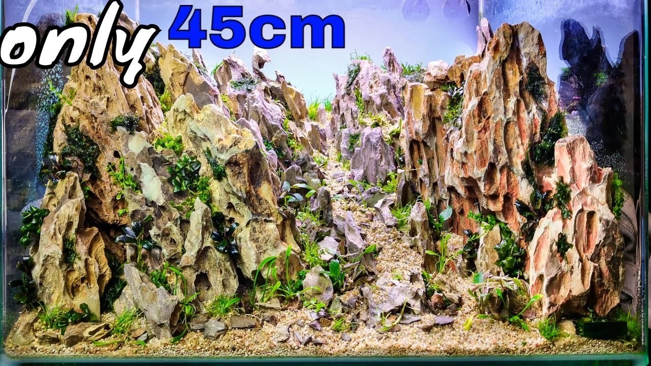 Mountain aquascape. I scaped a great nano planted aquarium.