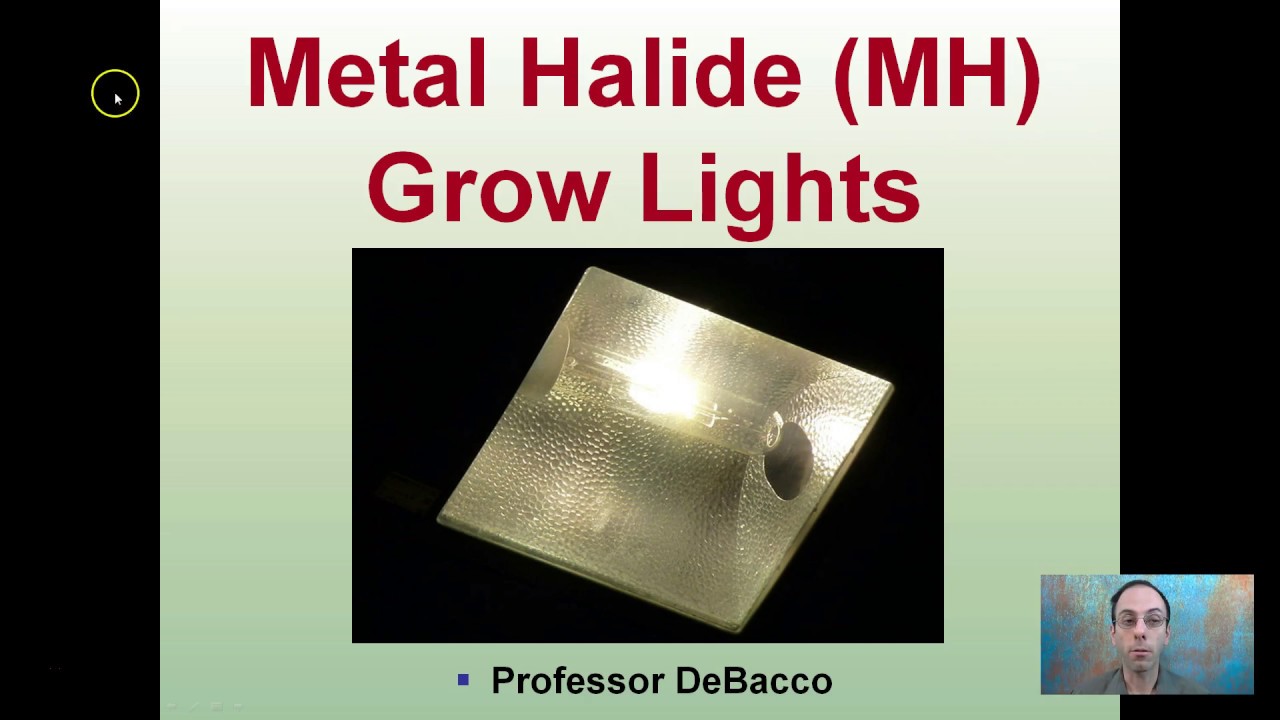 Metal Halide (MH) Grow Lights